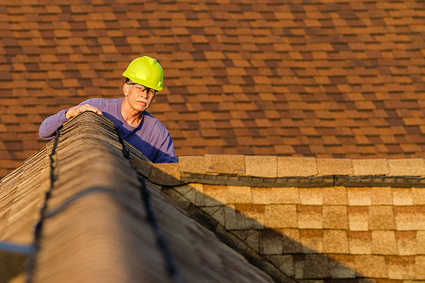 Best Roof Maintenance Services  in Kenbridge, VA